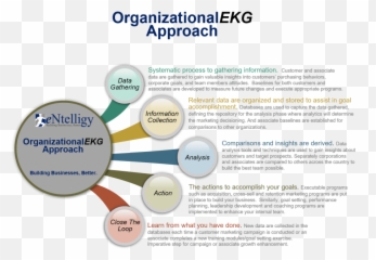 Associate Data Gathering Flow - Dot Emoji,Ekg Emotions