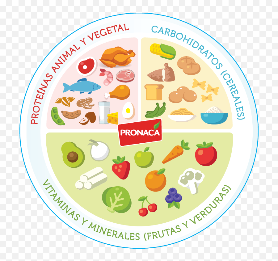 Tqma Digital Noviembre 2020 - Plato Nutricional De Ecuador Emoji,Que Significa El Emoticon Con.los Brazos Cruzados En El Pecho