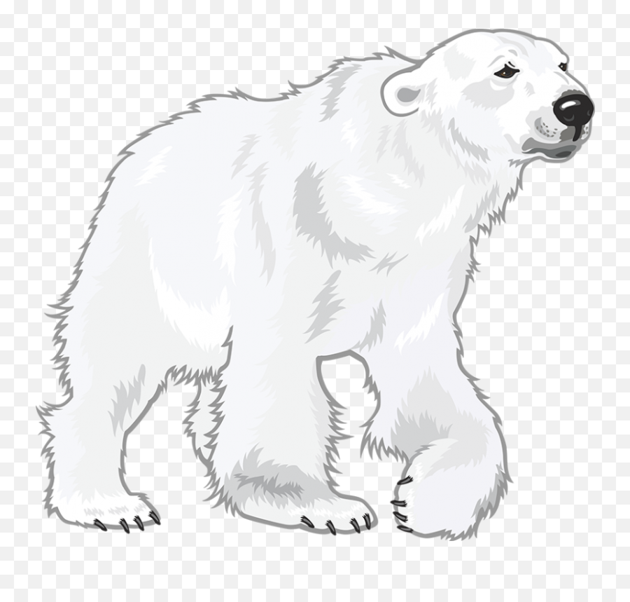 Polar Bear Clipart Vector Png Transparent Images Emoji,The Polar Express Emojis