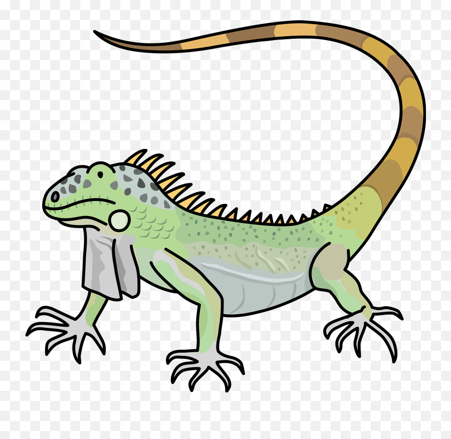 Iguana Clipart - Iguana Cartoon Png Emoji,Iguana Emoji