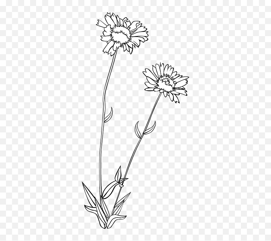 Free Photo Wildflower Flora Plant Flower - Max Pixel Emoji,Lilium True Emotion
