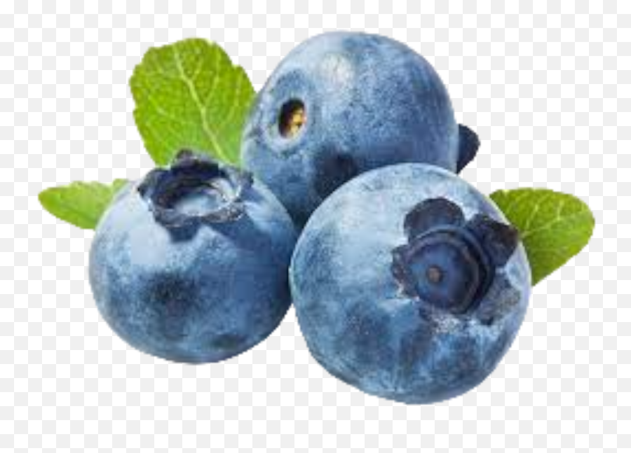 Blueberry Balsamic Vinegar Emoji,Blue Fruit Emoji