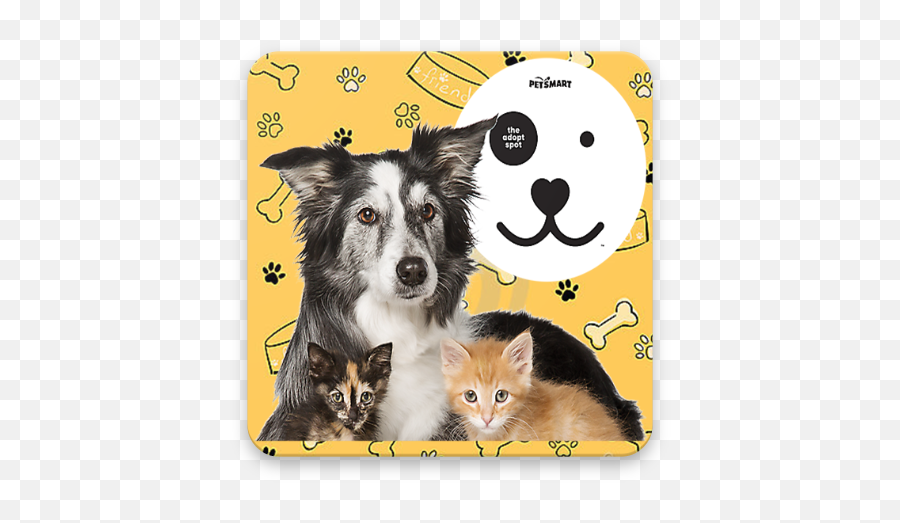 Pet Love Stickers - Apps En Google Play Happy Emoji,Collie Emoji