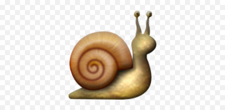 Profile Icon Emojis - Snail Emoji,Burgundy Emojis