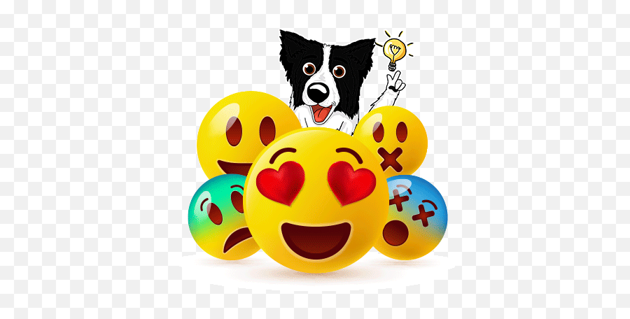 About Our Border Collie Team And Story - Happy World Emoji Day,Boom Emoji