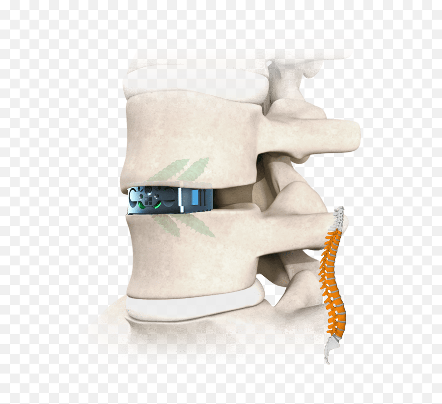 Neurostructures Emoji,Emotion Trap In The Spine