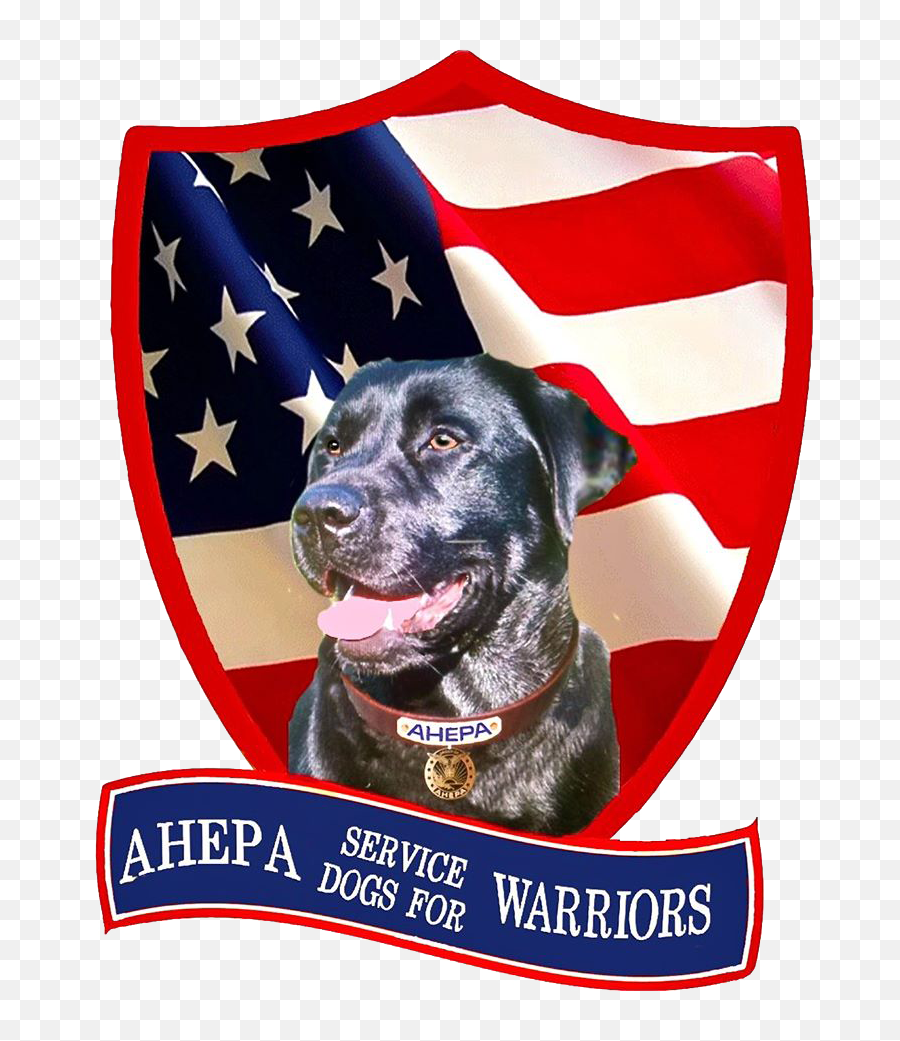 Welcome To Ahepa Service Dogs For Warriors Emoji,D'argo Emotions Welcome To Ahepa Service Dogs For Warriors Emoji,D'argo Emotions
