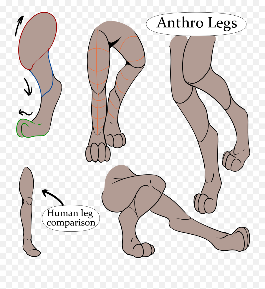 Drawing Anthropomorphic Animals By Herodraws - Clip Studio Tips Furry Leg Emoji,Giving Human Emotions To Animals