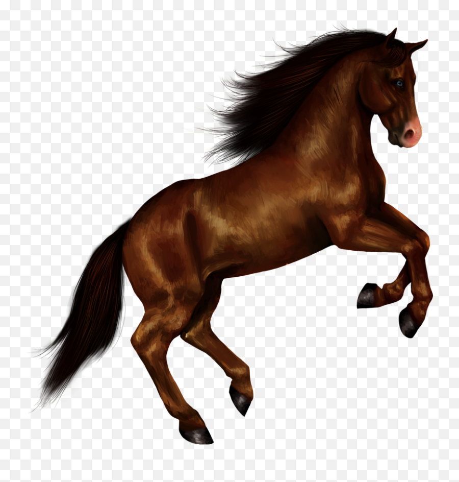 Black Horse Png Animal 13 - Horse Png Emoji,Black Horse Emoji
