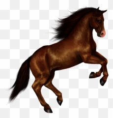 Black Horse Png Animal 13 - Horse Png Emoji,Black Horse Emoji
