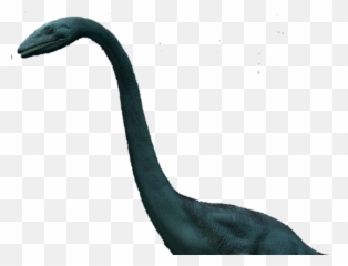 Remix Nessie Sticker - Long Emoji,Nessie Emoji