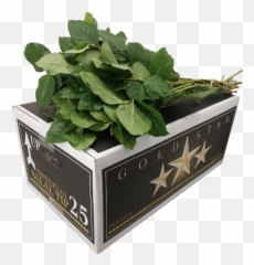 Bloomx - Fines Herbes Emoji,Hydrangea Macrophylla Emotion