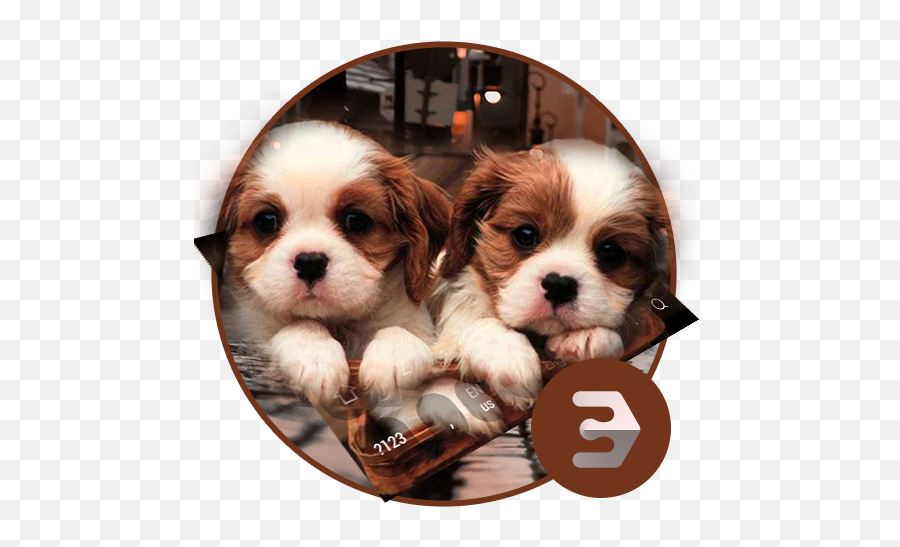 Cute Twins Dog Animal Keyboard - Cute Puppy Emoji,Cavaliers Emoji Keyboard