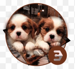 Cute Twins Dog Animal Keyboard - Cute Puppy Emoji,Cavaliers Emoji Keyboard