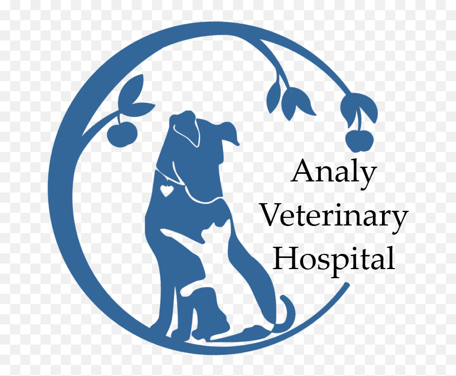 Home Veterinarian In Sebastopol Ca Analy Veterinary - Language Emoji,The Best Animal Emotion Support Lifetime