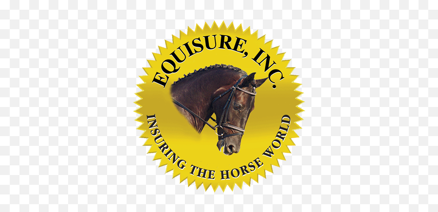 Therapy - Equisure Inc Logo Emoji,Horse Emotions For Kids