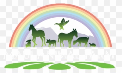 Maui Animal Farm - Lahaina Maui Petting Zoo Birthday Maui Animal Farm Emoji,Levels Of Emotion In Zoo Animals