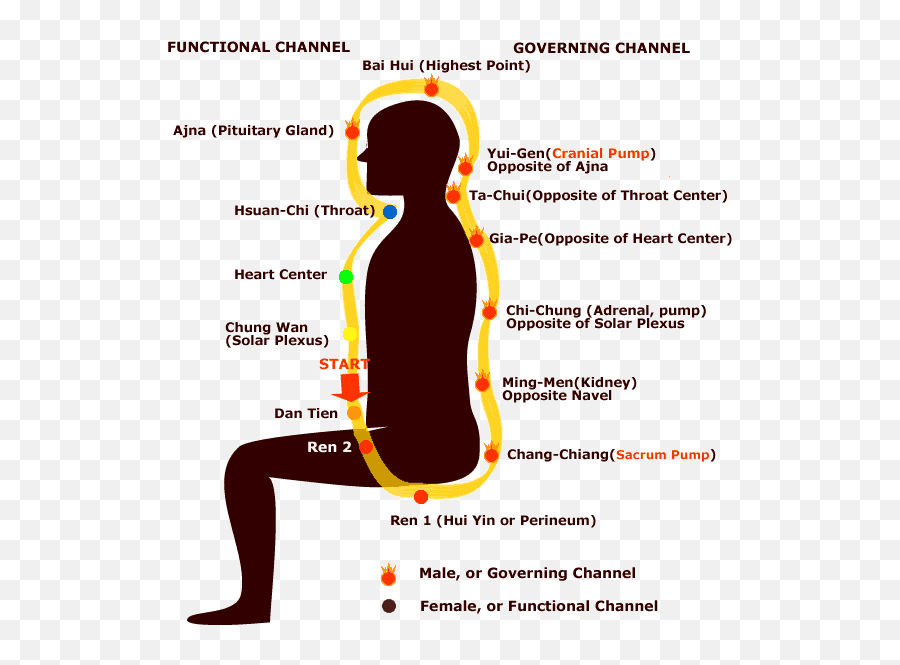 Diary Of A Daoist Hermit 2010 - Microcosmic Orbit Emoji,Thich Nhat Han Ride The Wave Of Emotions