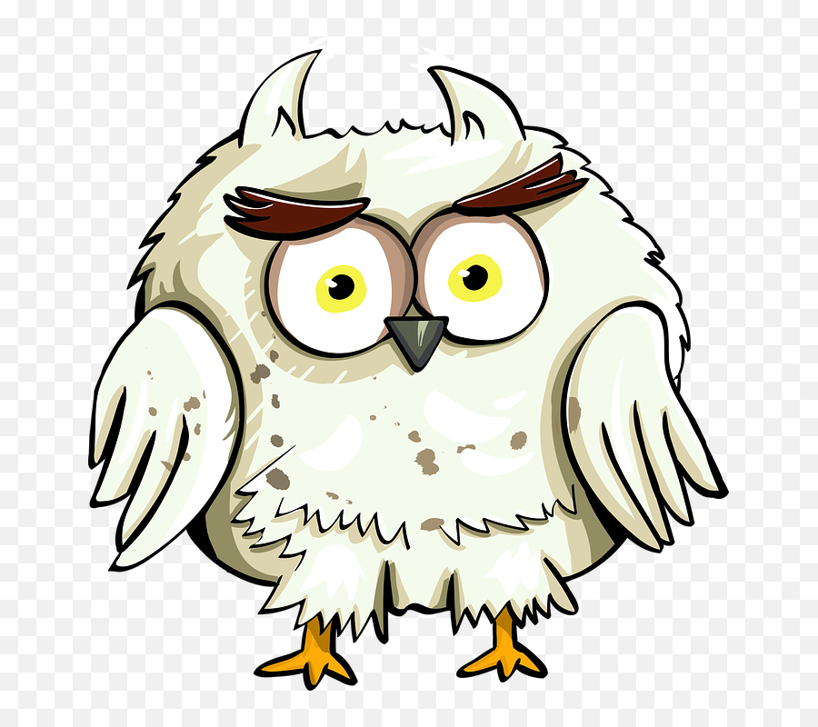 Free Photo Eyes Animal Character Bird - Harry Potter Happy Birthday Wizard Emoji,How To Draw A Cartoon Animal Eye Emotion