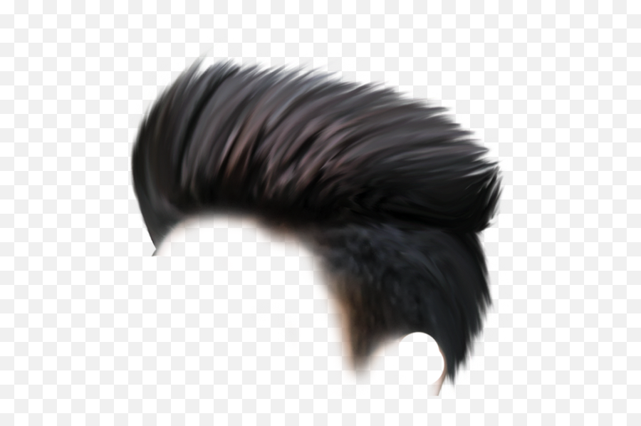 Cb Hair Png Hd Download With Images Hair Png Download - Hair Png One Side Emoji,Emojis With Greaser Hair