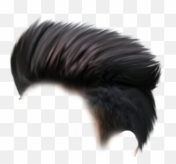 Cb Hair Png Hd Download With Images Hair Png Download - Hair Png One Side Emoji,Emojis With Greaser Hair