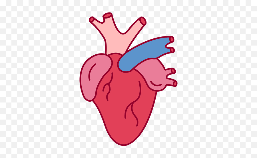 Heart Png Designs For T Shirt U0026 Merch Emoji,Anatomical Heart Emoji