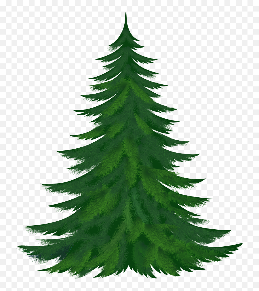 Pine Tree Clipart - Pine Cone Tree Clipart Emoji,Pine Tree Emoji