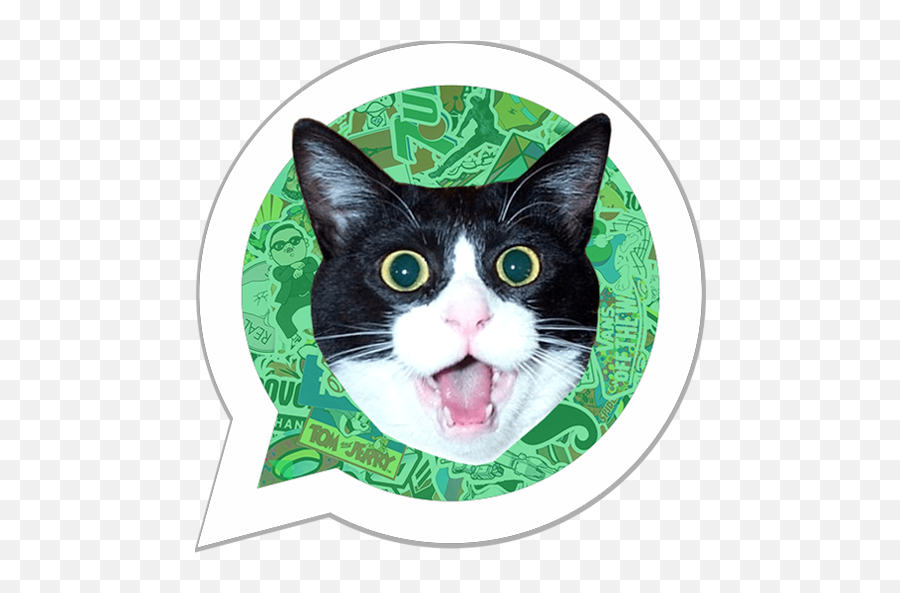 Sticker Creator Wastickerapps - Cat Head Transparent Background Emoji,Emoticon Que Saca La Lengua