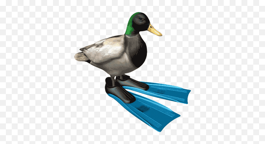 Xd Gif - Spinning Duck With Flippers Gif Emoji,Emoji Xd Gif