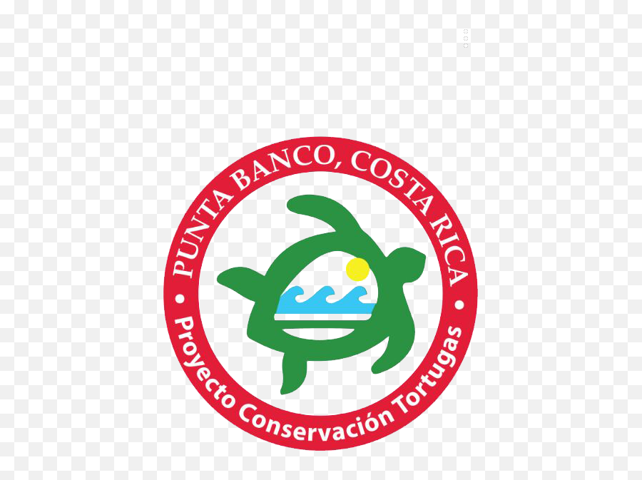 Sea Turtle Conservation Project - Language Emoji,Mine Turtle Text Emoticon