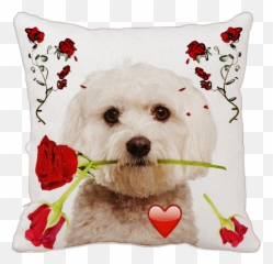 Largest Collection Of Free - Toedit Malta Stickers Garden Roses Emoji,Puppy Emoji Pillow