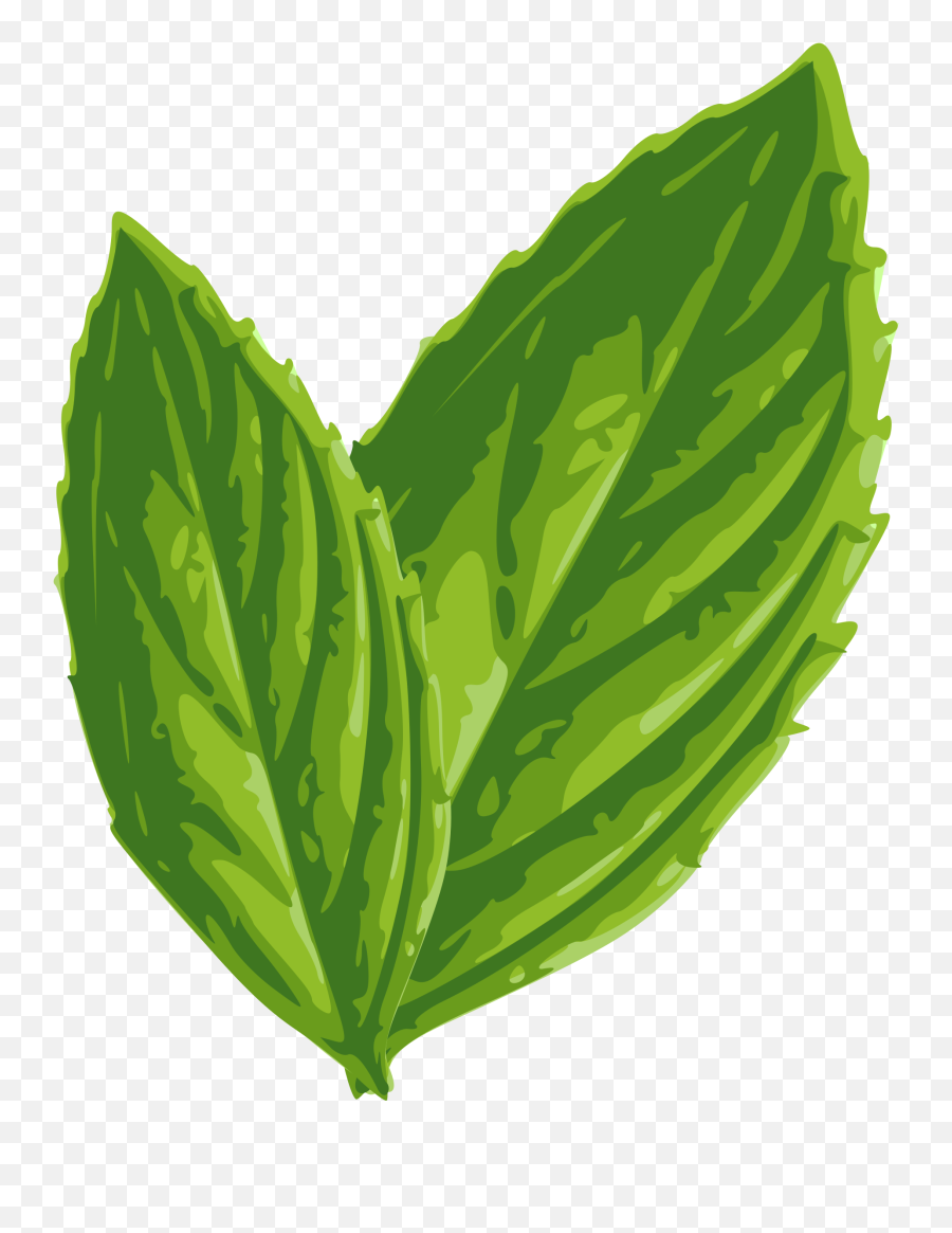 Mint Leaf Clip - Mint Leaf Clip Art Emoji,Peppermint Emoji