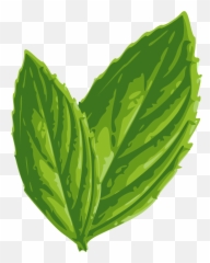Mint Leaf Clip - Mint Leaf Clip Art Emoji,Peppermint Emoji