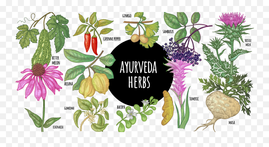 Six Famous Herbals Of Ayurveda - Maharishi Ayurveda News Emoji,Ayurveda Emotions Organs