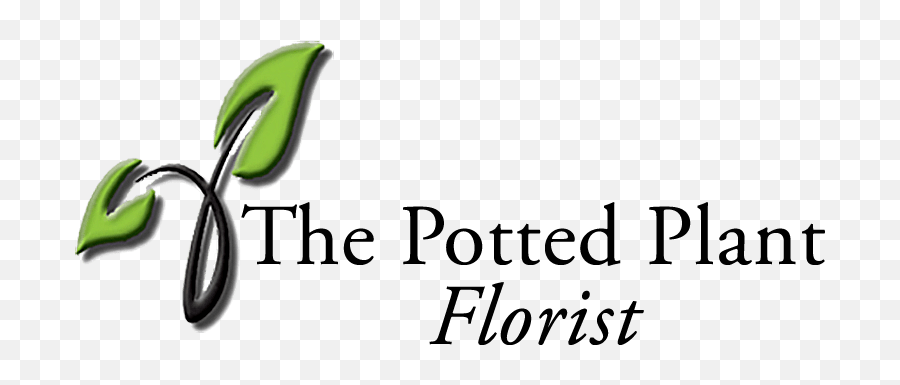 Cottleville Florist Flower Delivery By The Potted Plant Emoji,Like A House Plant With Complicated Emotions