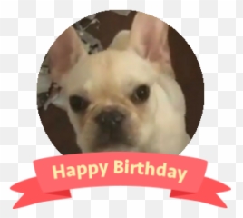 Emoji,French Bulldog Emoji Discord