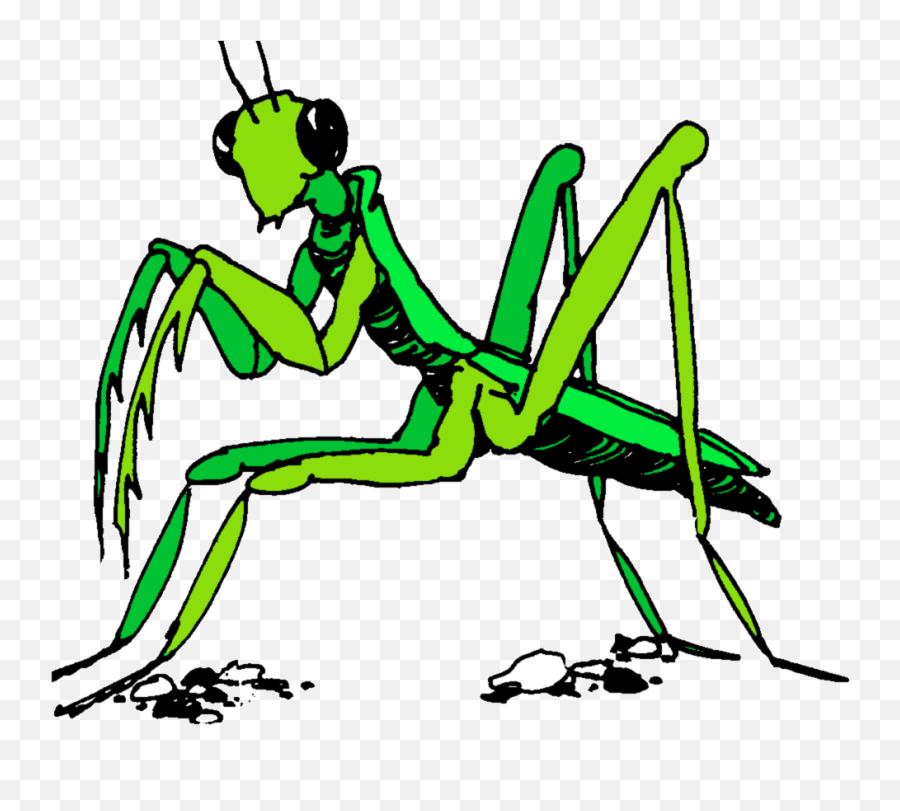 Praying Mantis Clipart Stick Insect - Transparent Praying Prayingmantis Insect Clip Art Emoji,Mantis Emoji