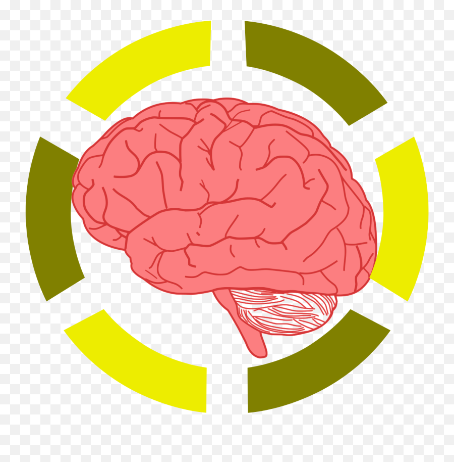 Stress Affects Your Brain And Immunity - Fear In Brain Transparent Emoji,Emotions And The Brain Psychology