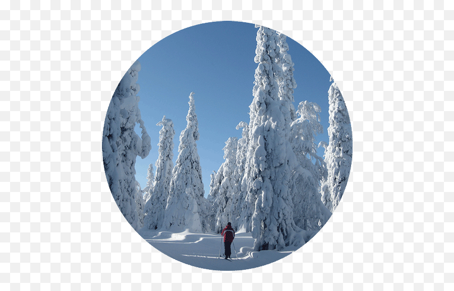 Nordicité Walking - Mountaineer Emoji,Finnish People Have No Emotions