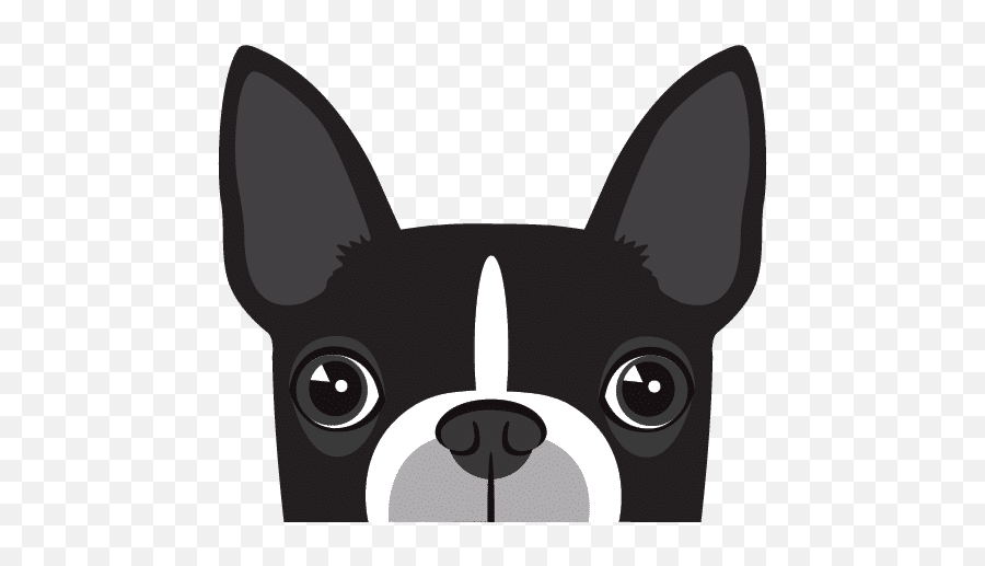 Le Mariage Dastrid Mignon Et Timothy Rowan - French Bulldog Emoji,Mariage Emoji