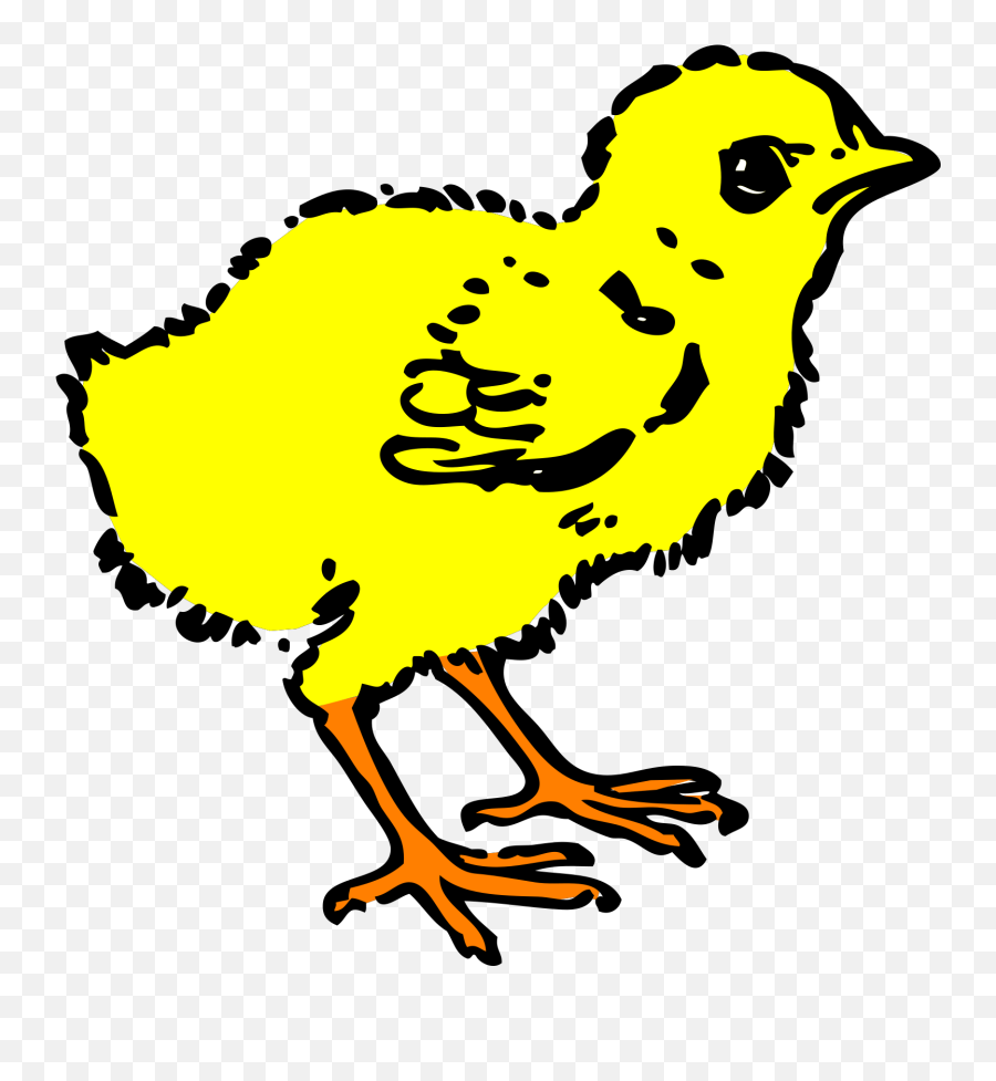 Baby Chick Chick Clipart Black And White - Png Download Emoji,Small Hippo Emojis