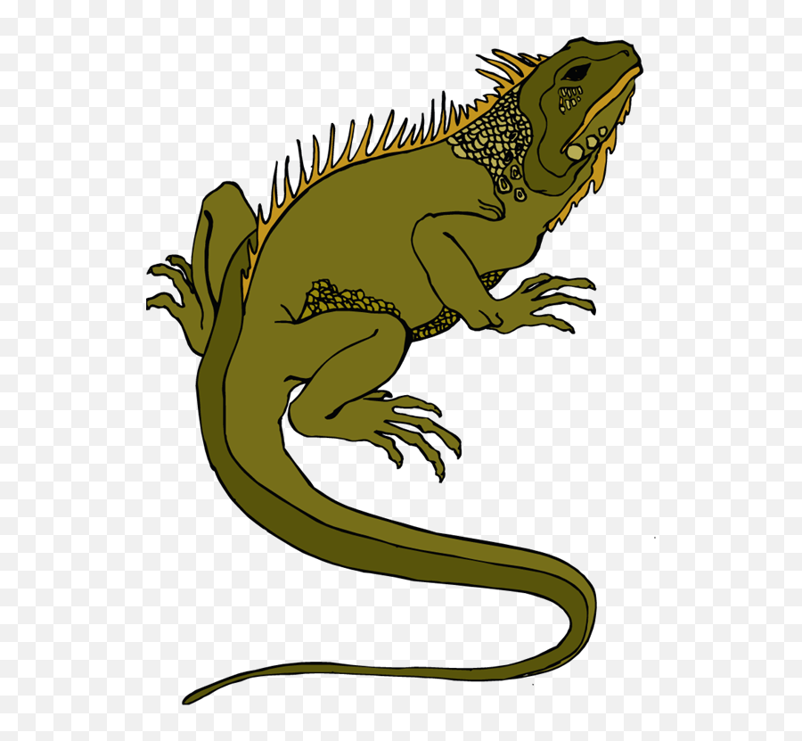 Iguana Free Clip Art - Garden Lizard Clipart Emoji,Iguana Emoji