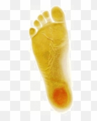 Foot Fandom Emoji,Toes Emoji