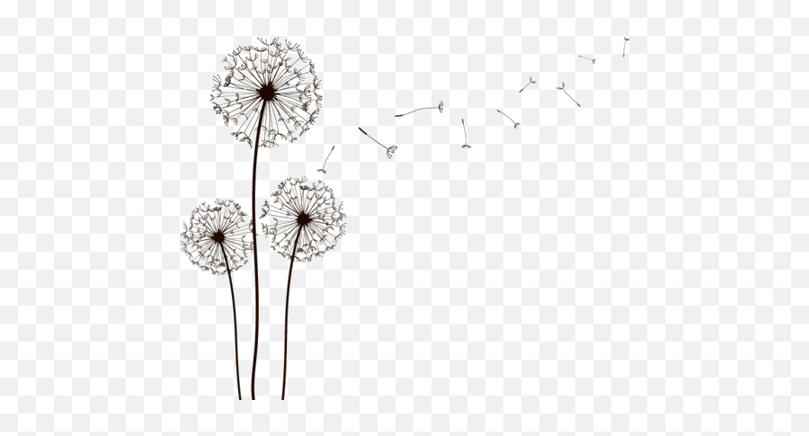 Roses To Dandelions On We Heart It - Dandelion Drawing Emoji,Emotions Drawing Tumblr