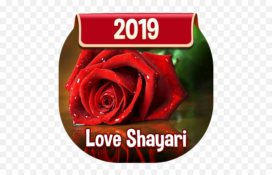 Love Shayri And Status 2019 - Love Rose Emoji,Emotion Duvida