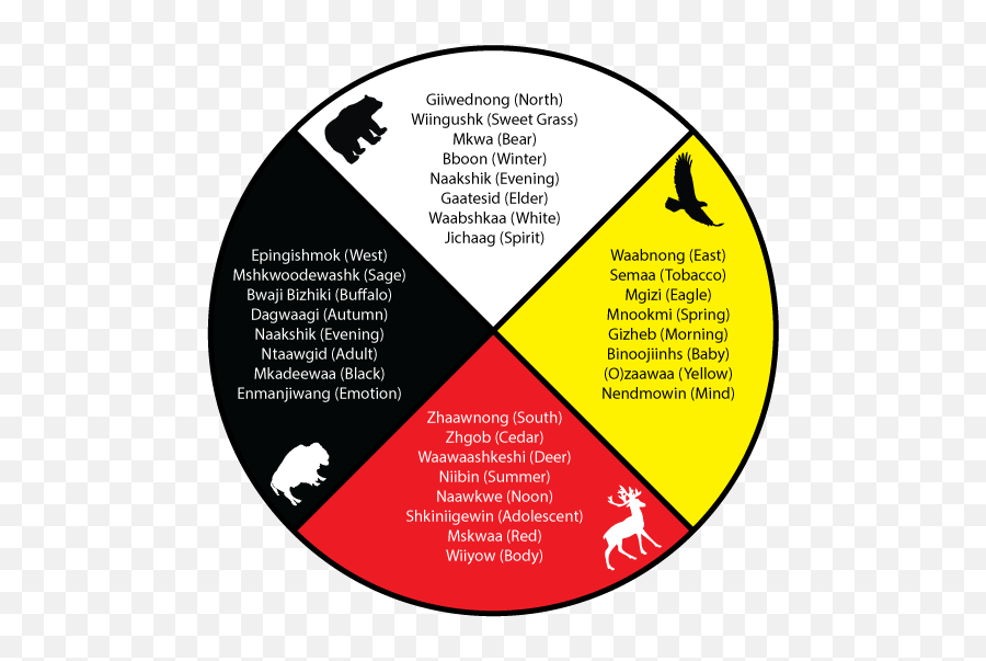 The Medicine Wheel - Curve Lake Cultural Centre Medicine Wheel First Nations Emoji,Emotion Circle