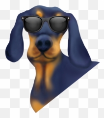 Dachsmoji - Dachshund Emoji By Salaheddine Lahrar Dachshund,Woohoo Emoji