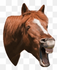 Transparent Gif - Horse Laughing Transparent Emoji,Sysiphus Emoji