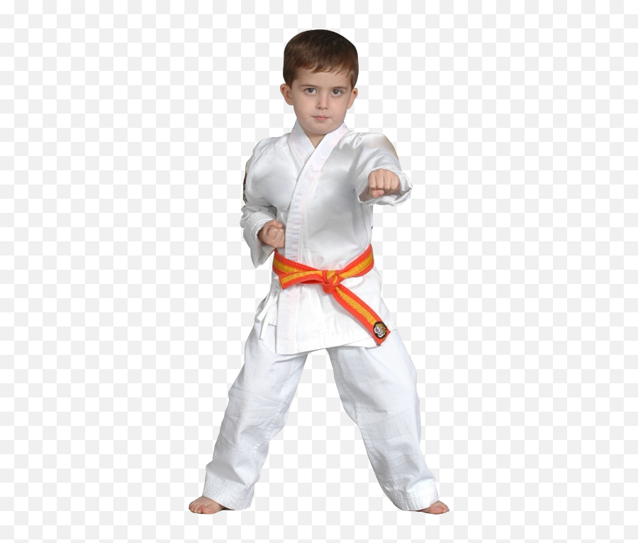 Martial Arts For Kids Laguna Beach Dojo - Boy Emoji,Young Boy Emotions