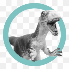 Toggle Navigation Home Registration Download Receipt - Animal Figure Emoji,Les Emotions Ppt Fle